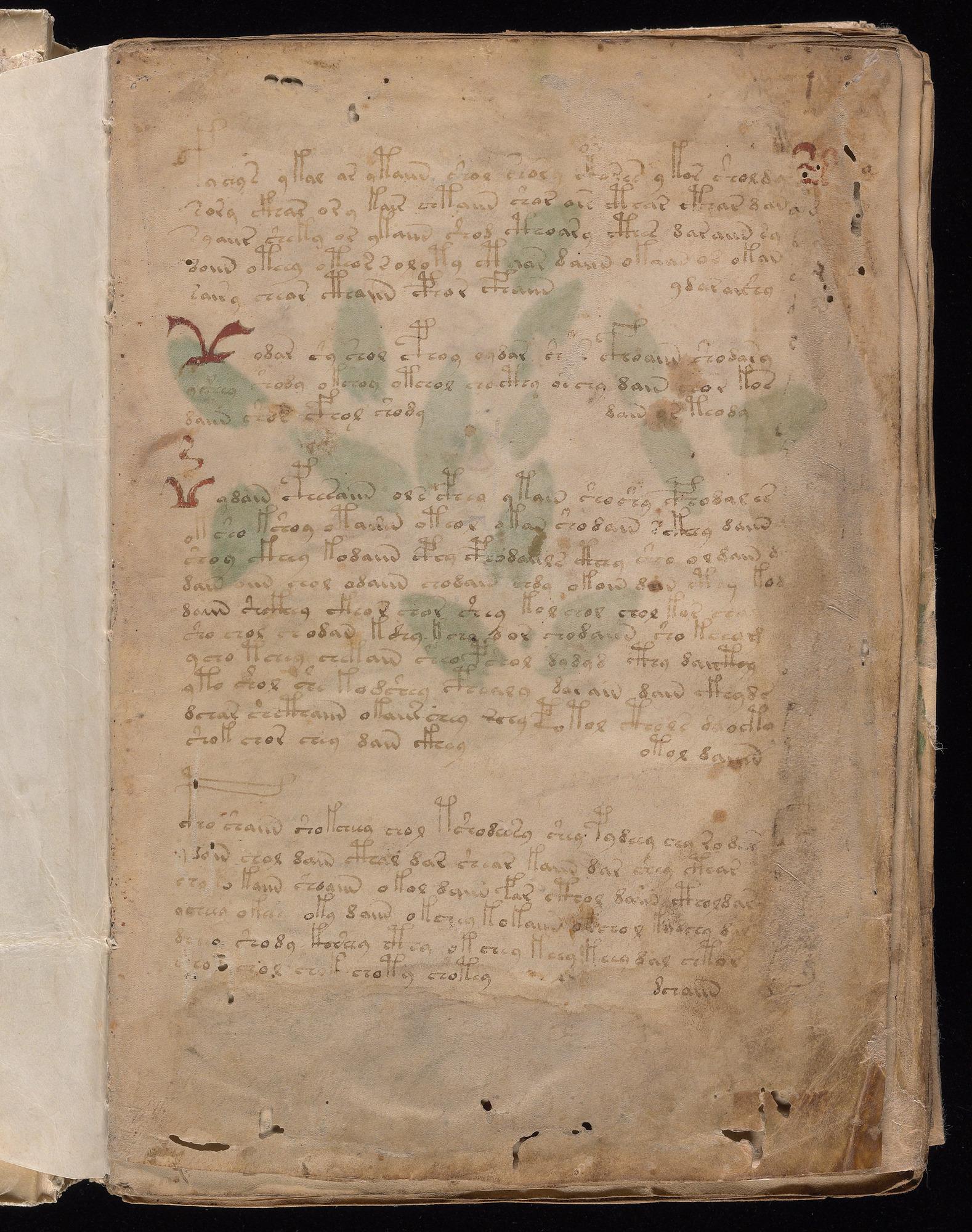 Herbal Page 1